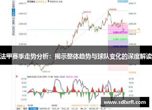 法甲赛季走势分析：揭示整体趋势与球队变化的深度解读