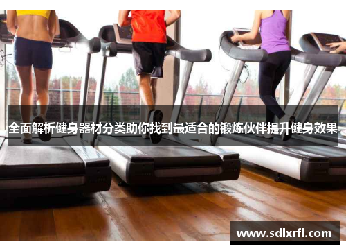 全面解析健身器材分类助你找到最适合的锻炼伙伴提升健身效果