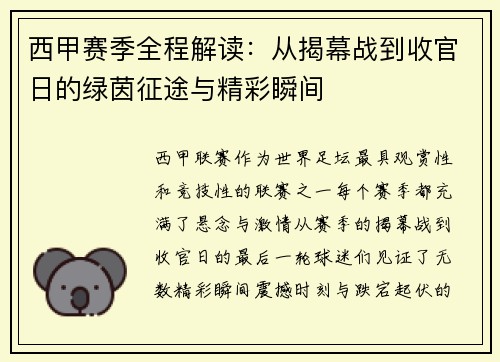 西甲赛季全程解读：从揭幕战到收官日的绿茵征途与精彩瞬间