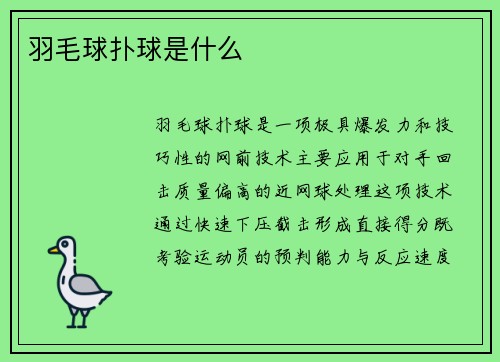 羽毛球扑球是什么